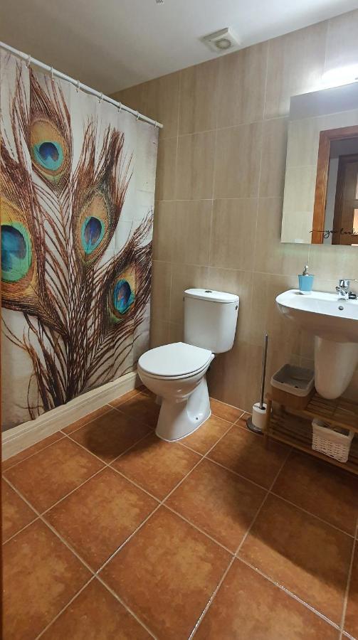 Cal Tranquil Camprodon, Acollidor Atic Al Centre Apartman Kültér fotó