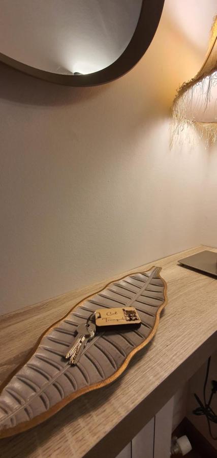 Cal Tranquil Camprodon, Acollidor Atic Al Centre Apartman Kültér fotó