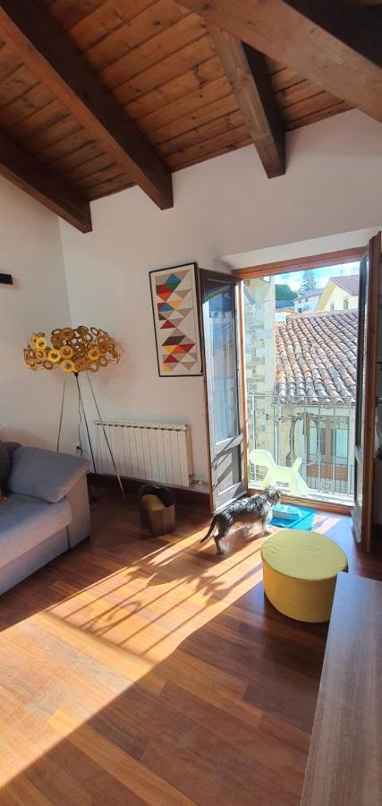 Cal Tranquil Camprodon, Acollidor Atic Al Centre Apartman Kültér fotó