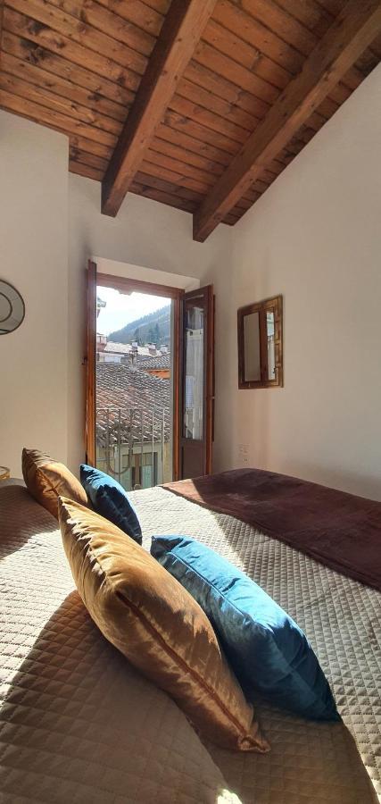 Cal Tranquil Camprodon, Acollidor Atic Al Centre Apartman Kültér fotó