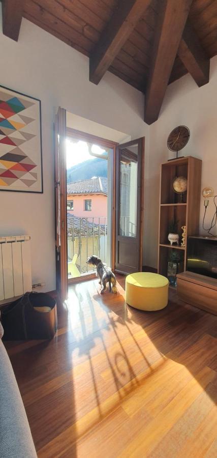 Cal Tranquil Camprodon, Acollidor Atic Al Centre Apartman Kültér fotó